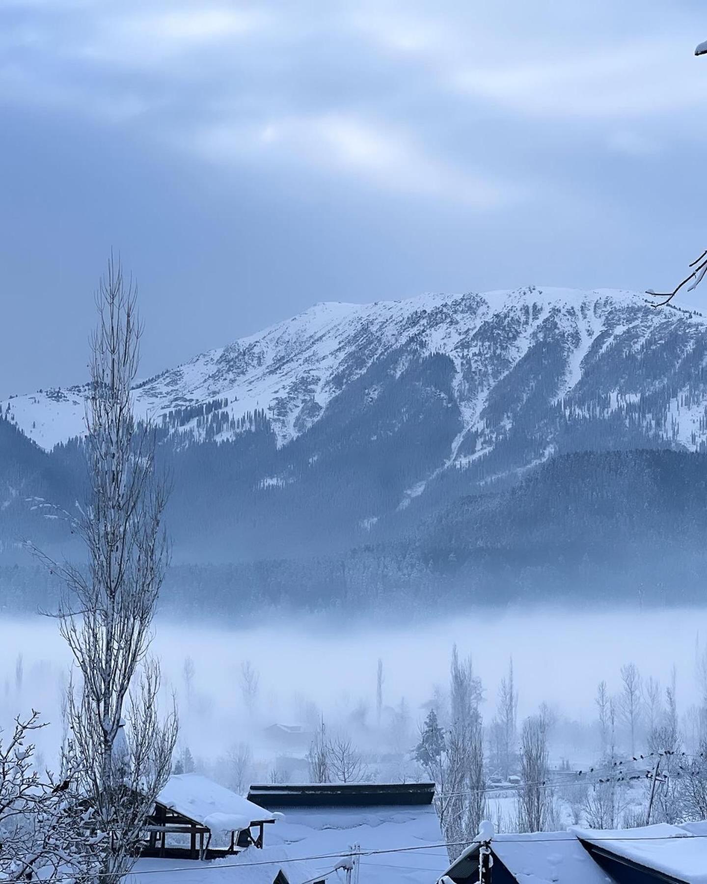 Everest Guest House Gulmarg Eksteriør billede